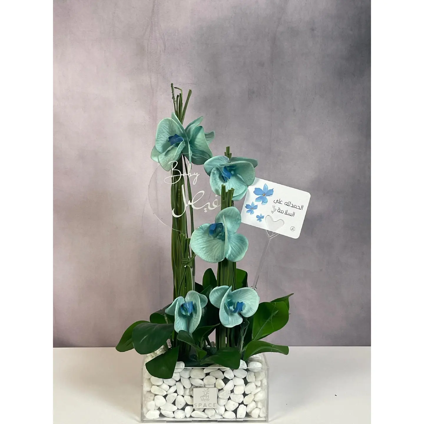 مبروك التخرج