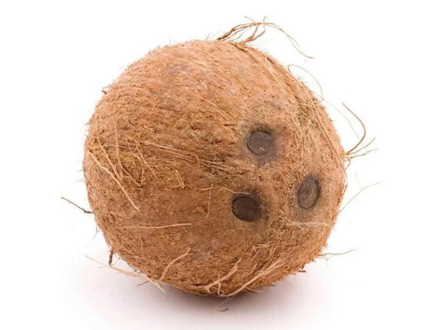 جوز هند