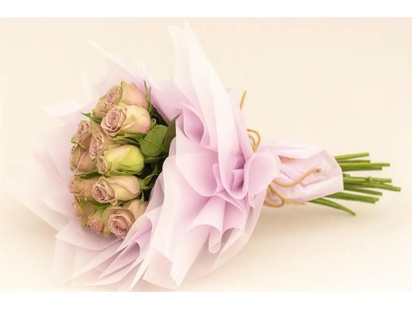 زهور بنفسجية وبيج جميلة