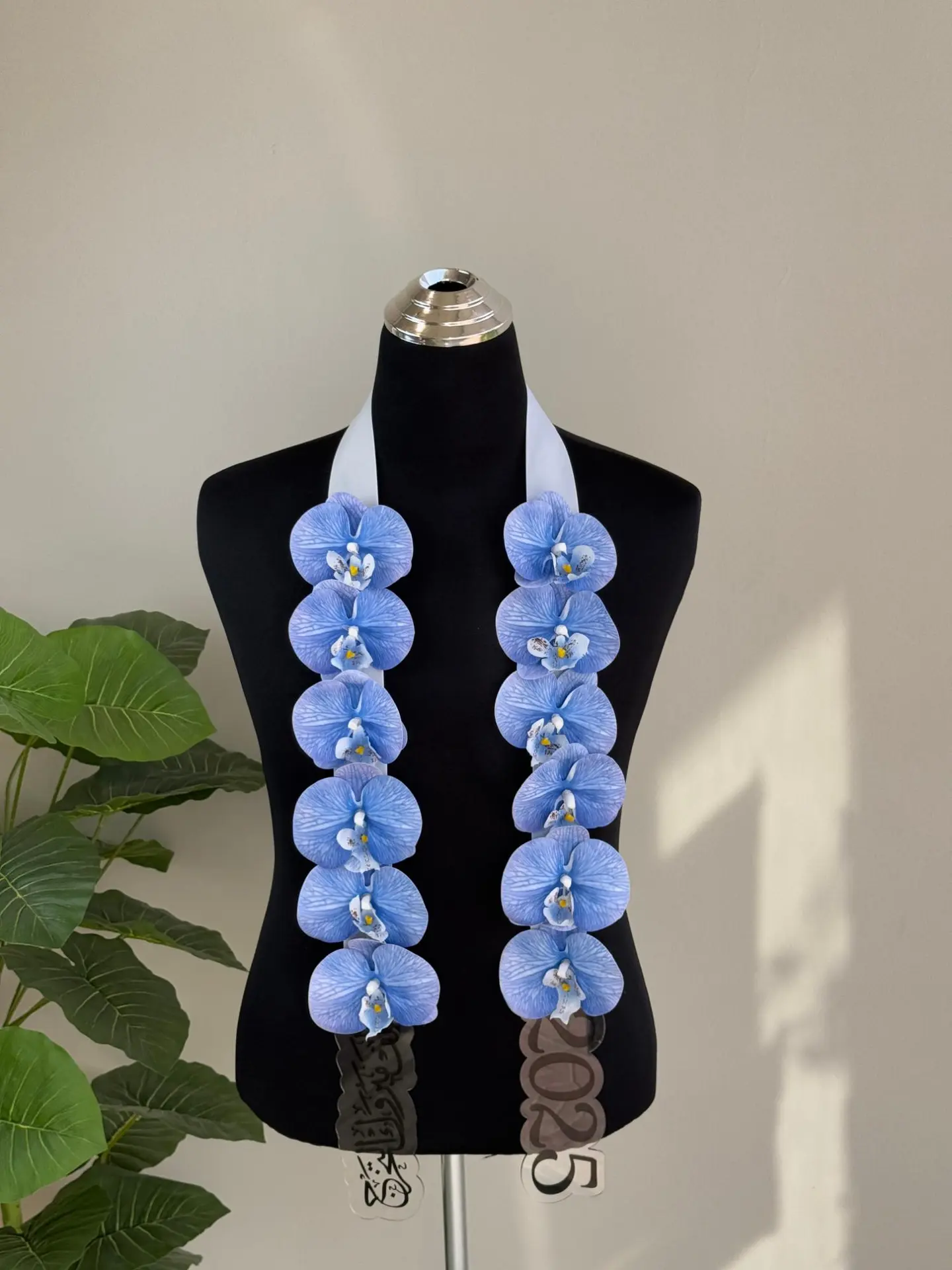 Blue Graduation Contract A