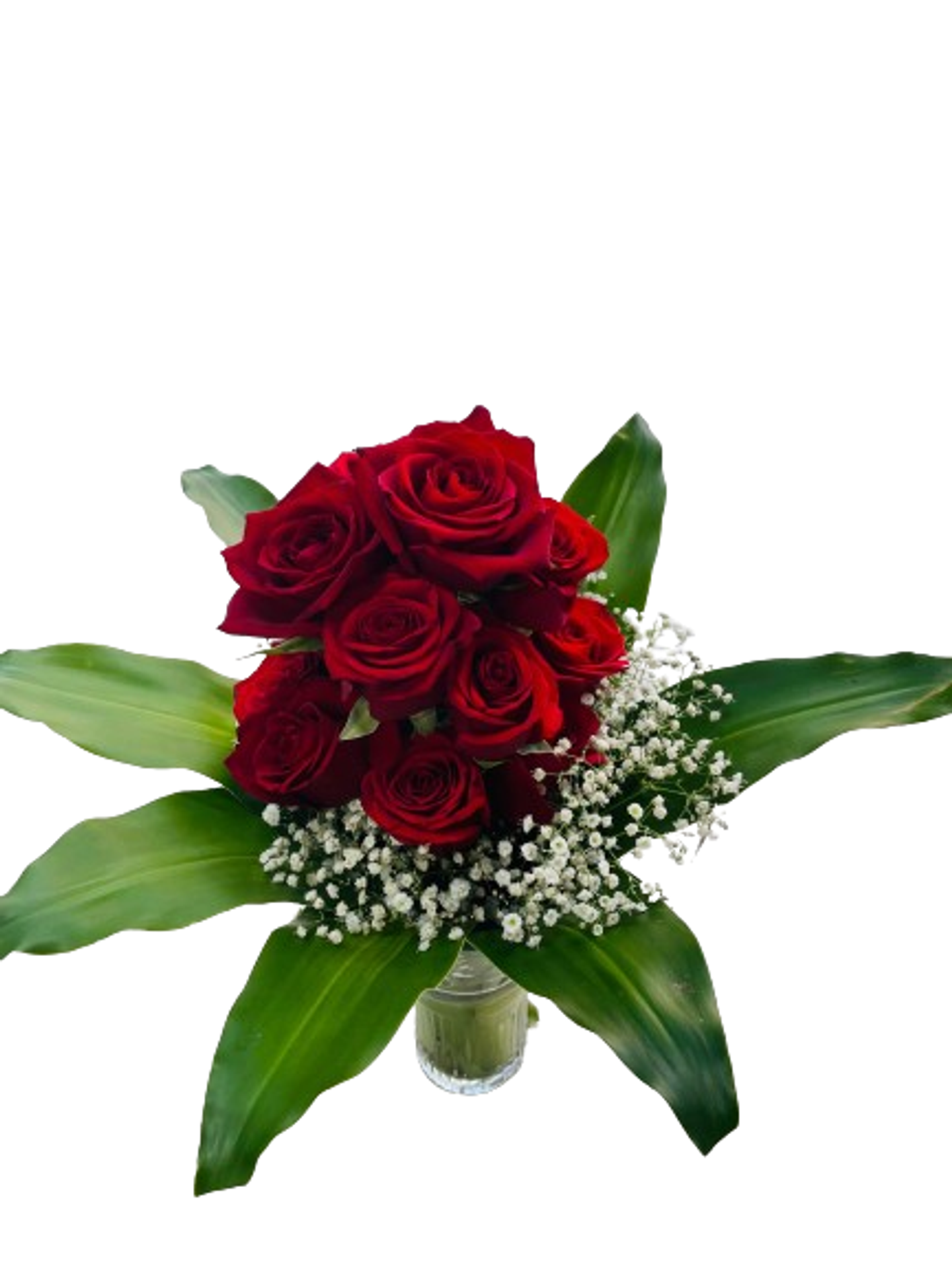 Red Rose Vase