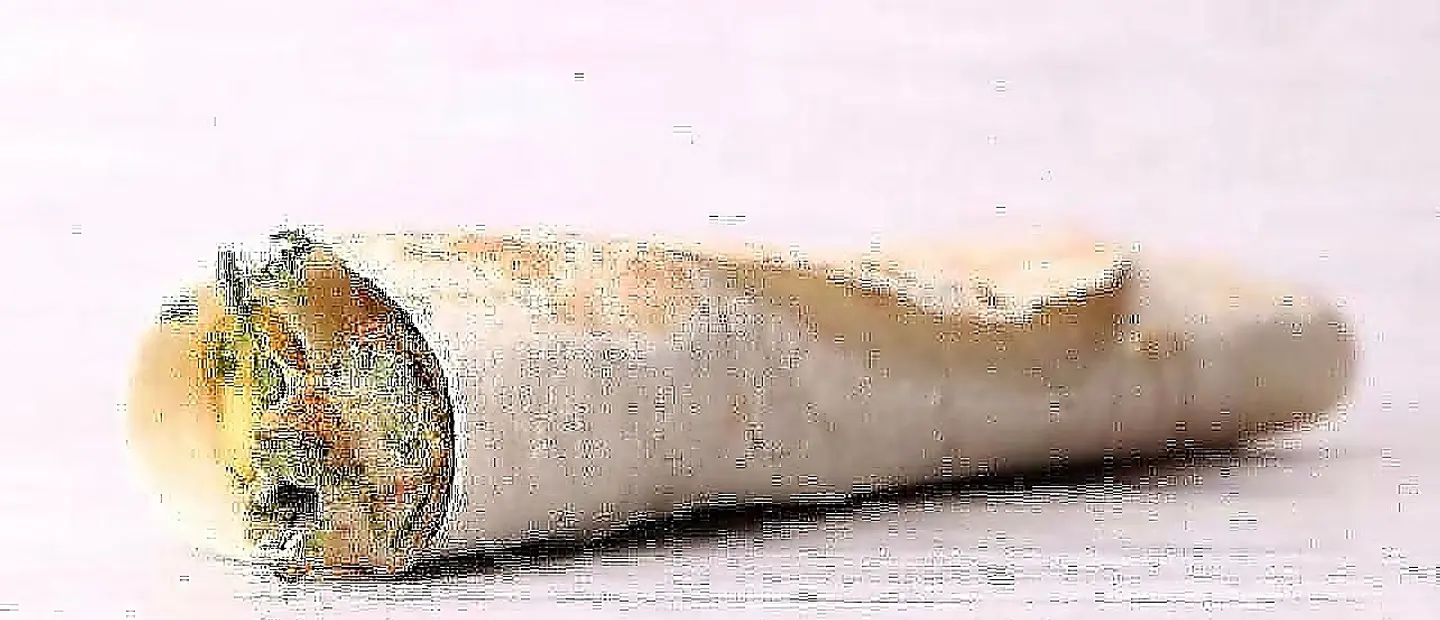 ساندوتش مبشور دجاج