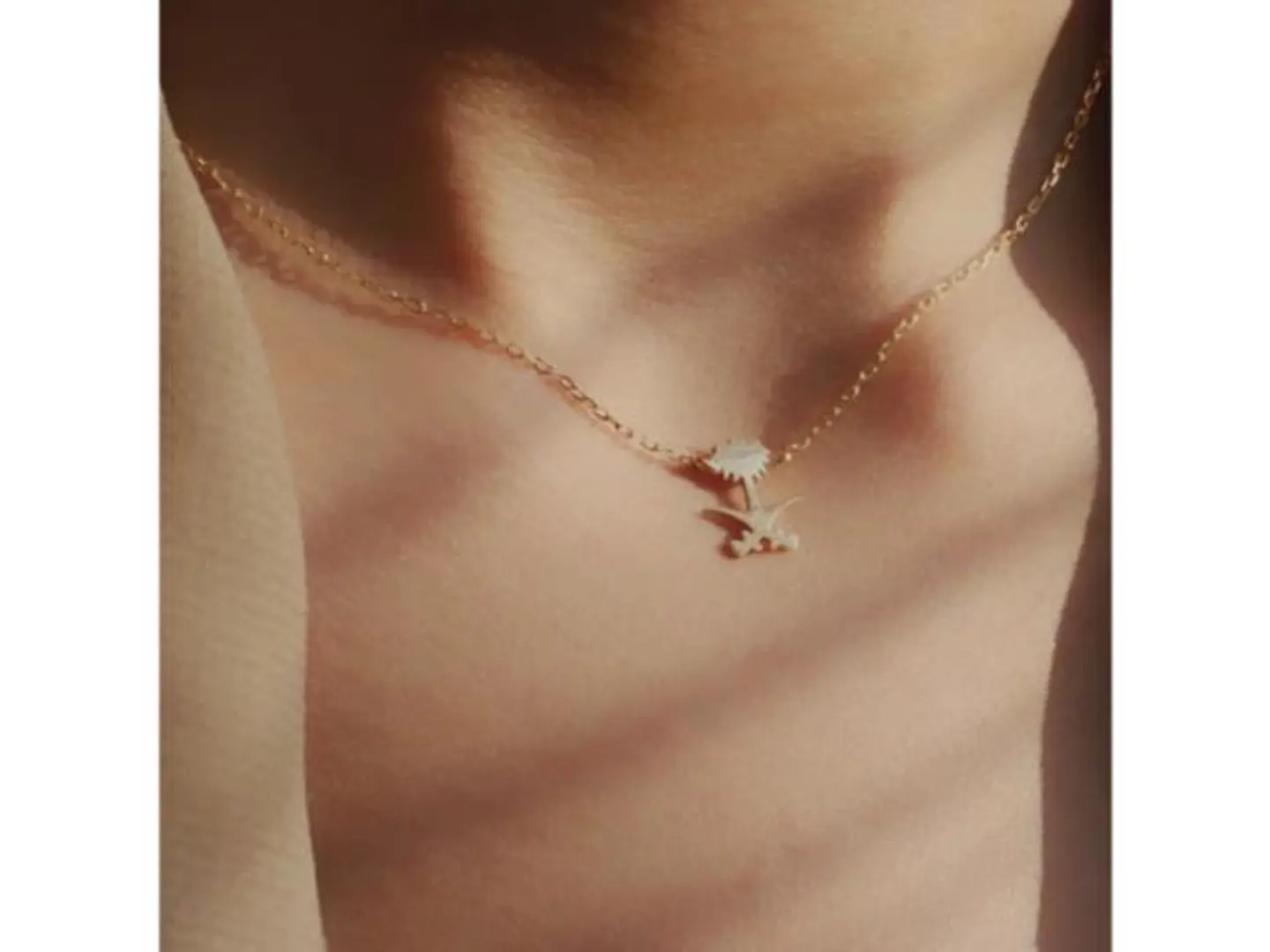 سلسال السيفين والنخلة