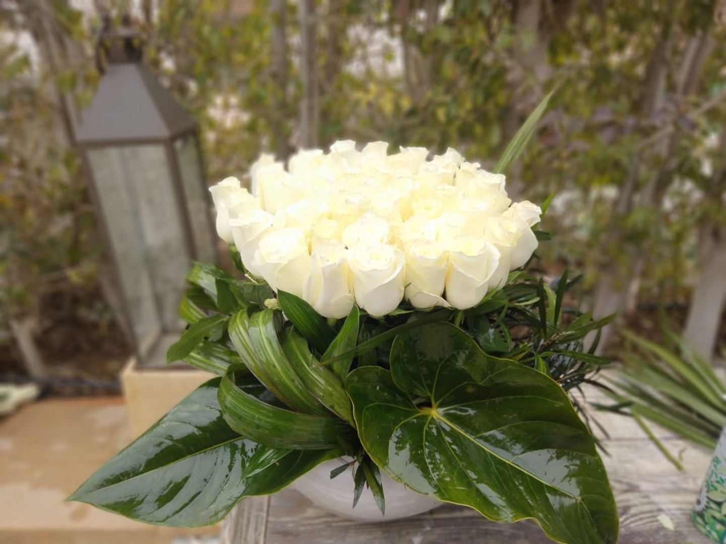 White Rose Vase