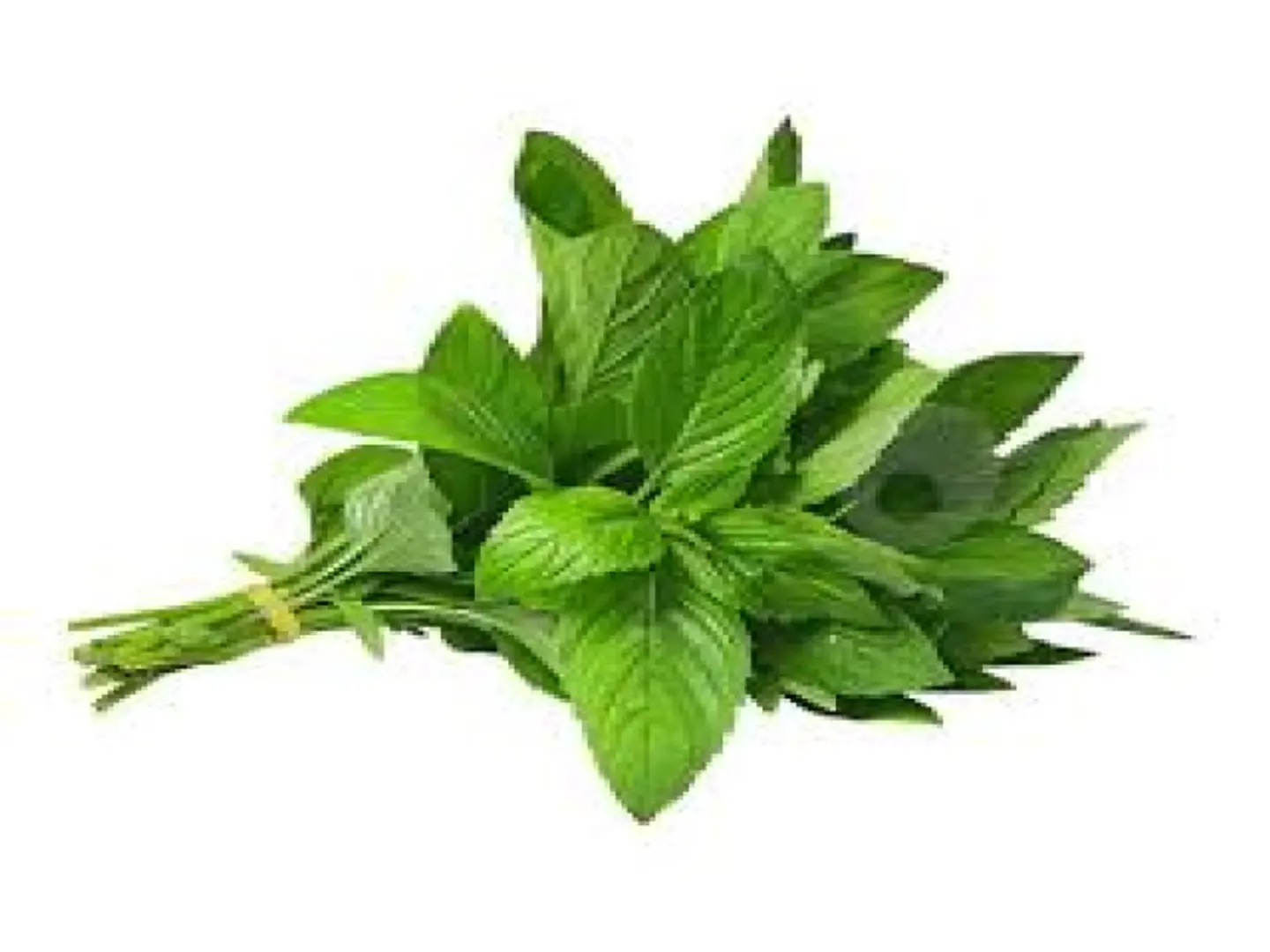 نعان