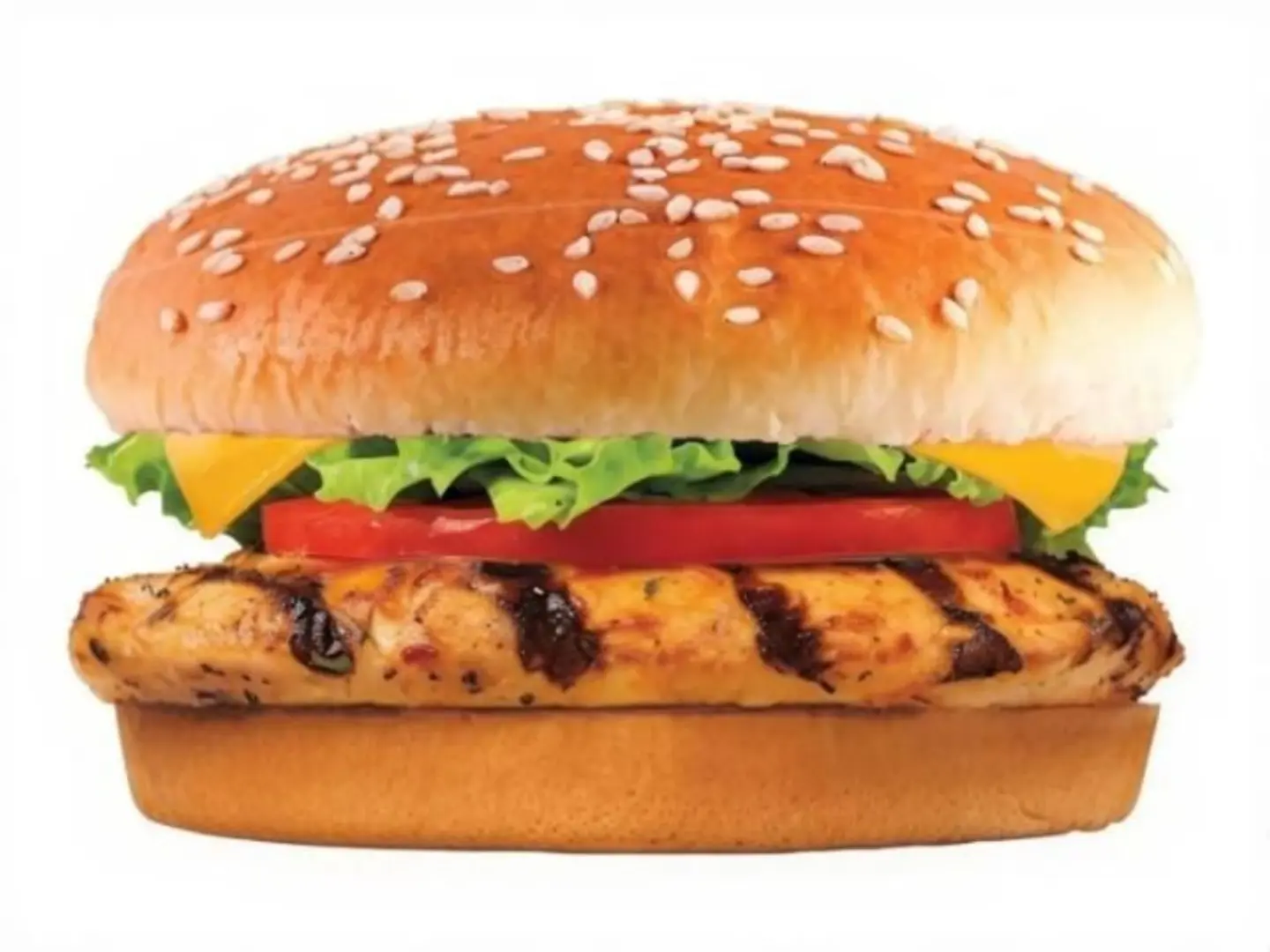 Grilled Chicken Burger