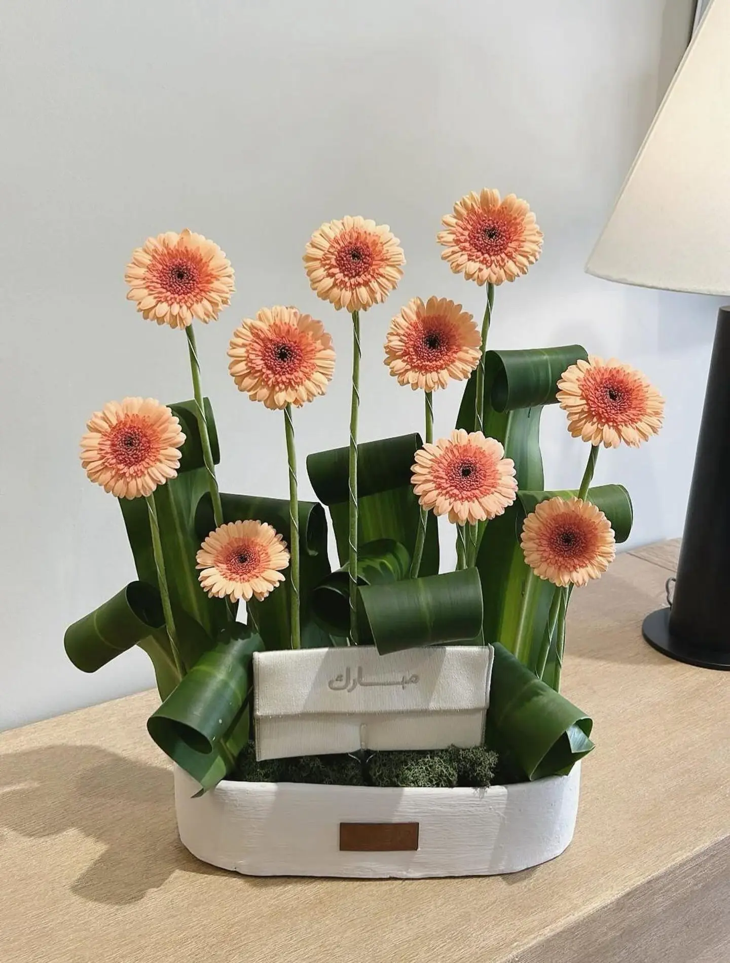 قاعدة ورد هولندي