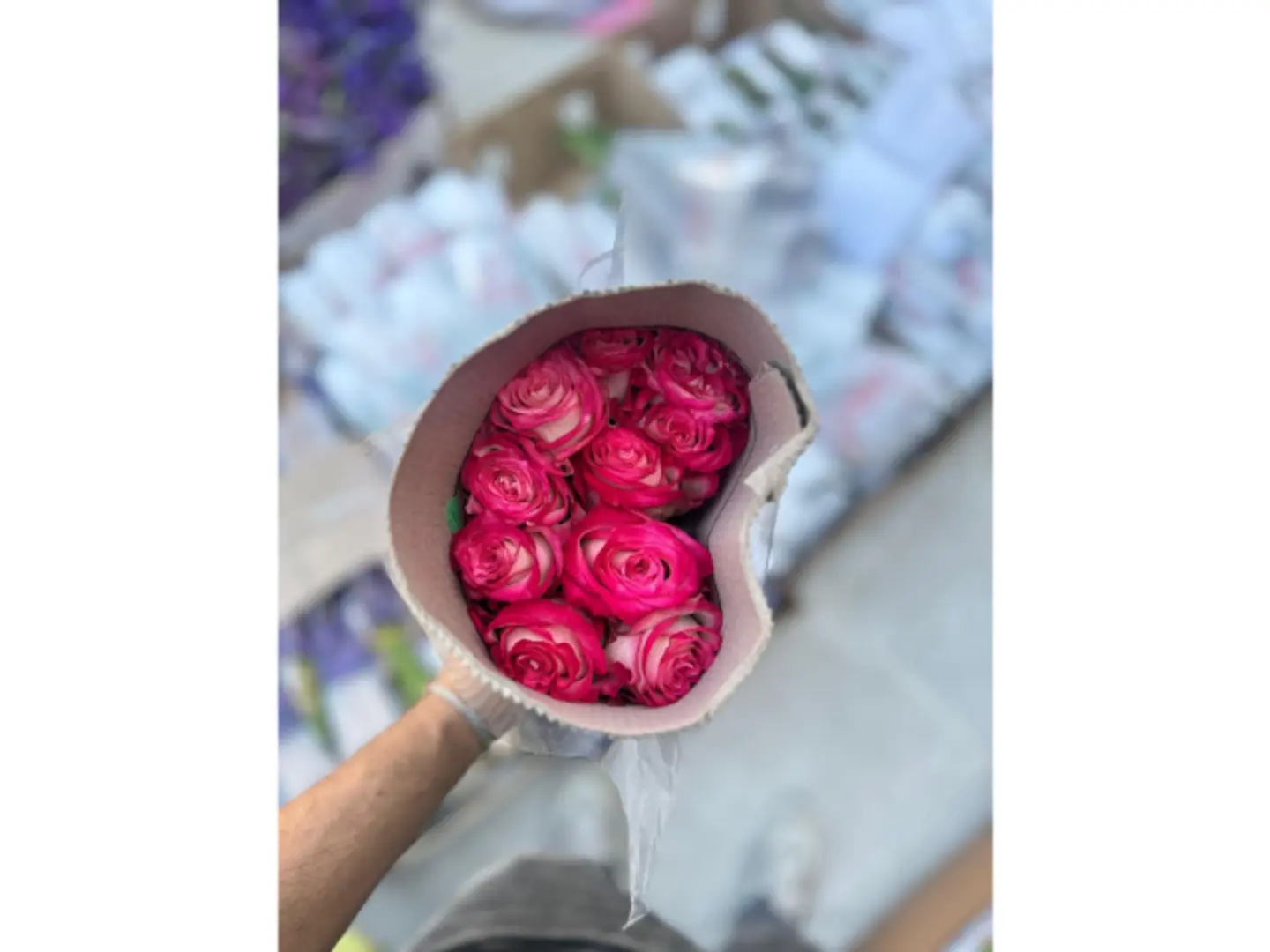 Double Color Pink Jouri Packet