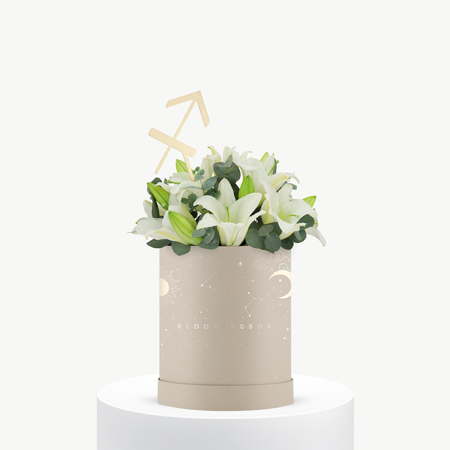 بوكس ليليوم برج القوس