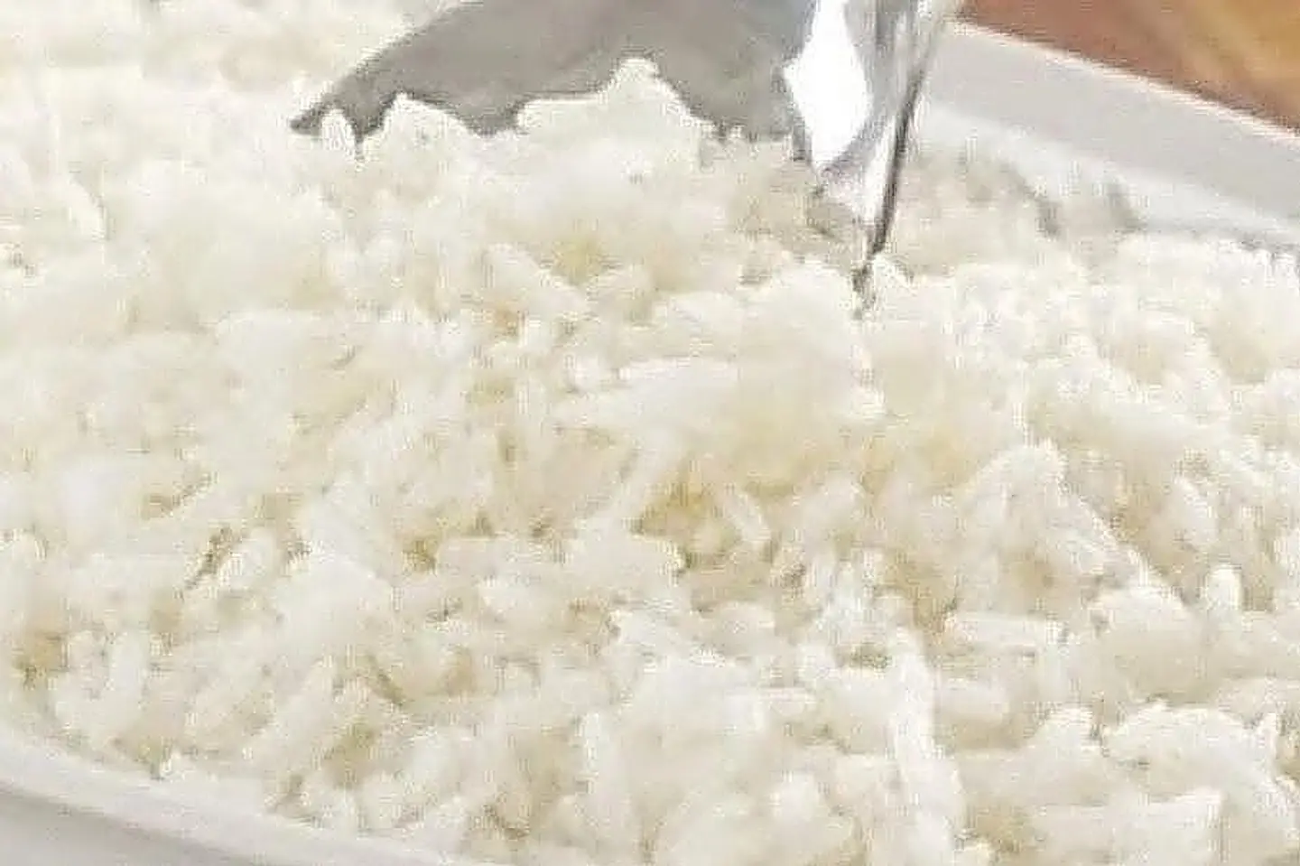 نفر رز بشاوري