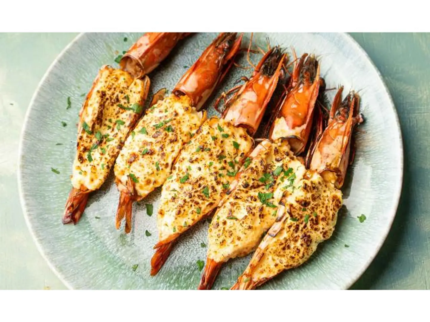 Shrimps Termindor