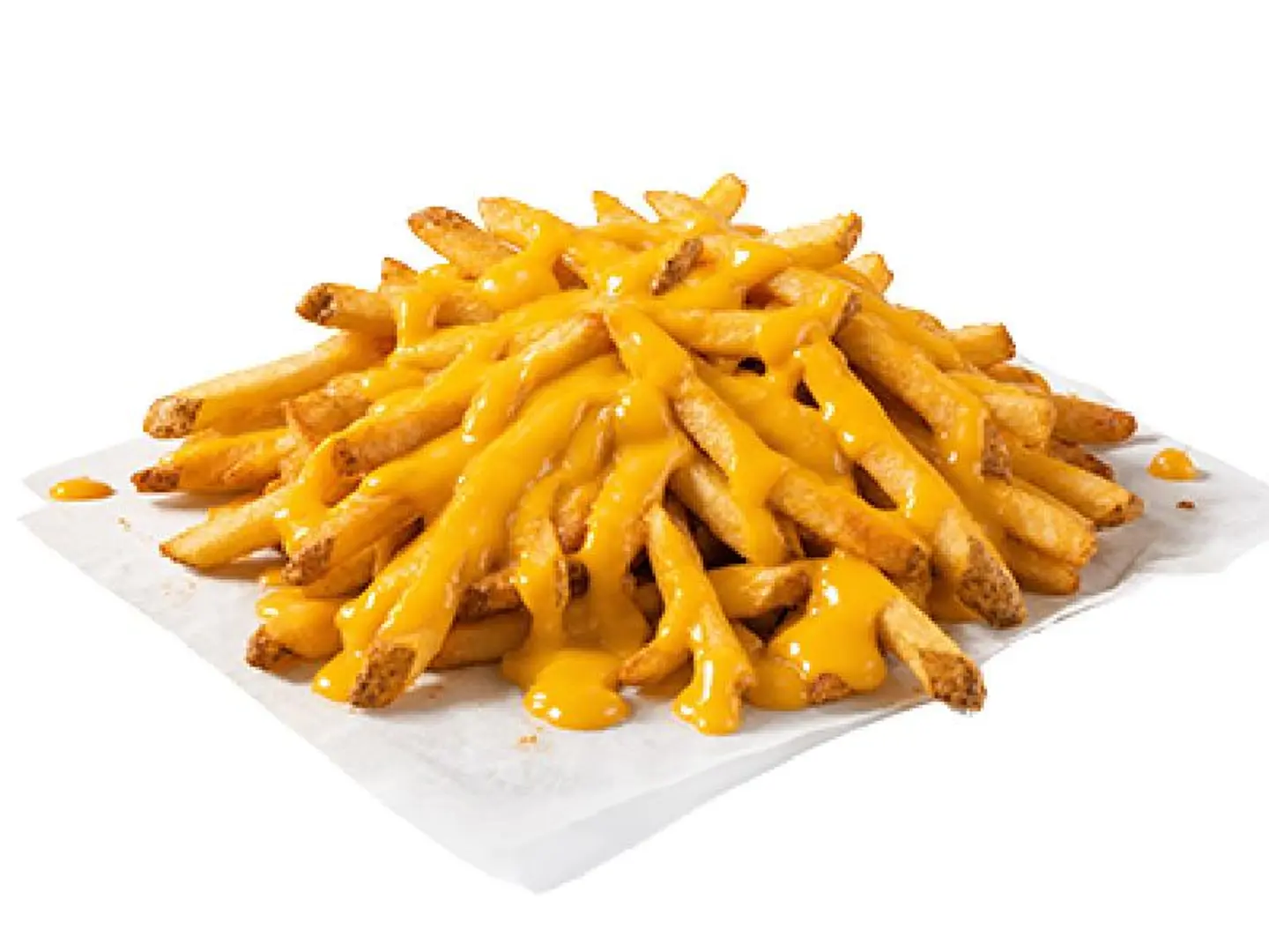 Cheese Fries