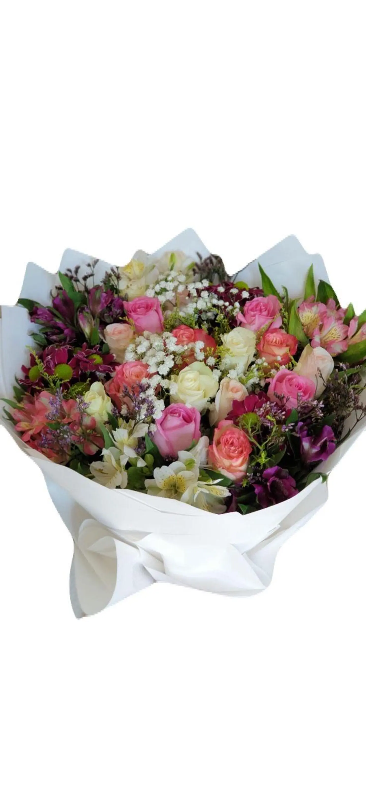 باقه درجات البنك والابيض