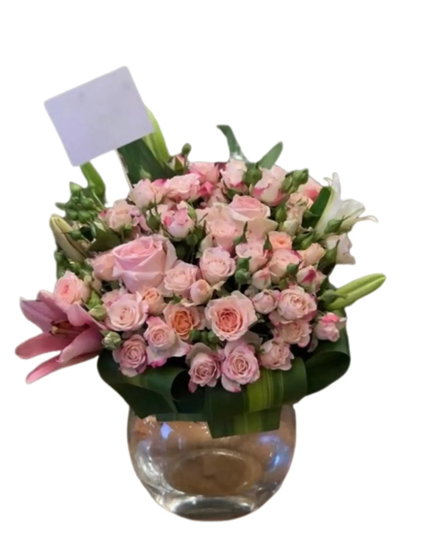 You Are A Rose Flower Vazza 0003