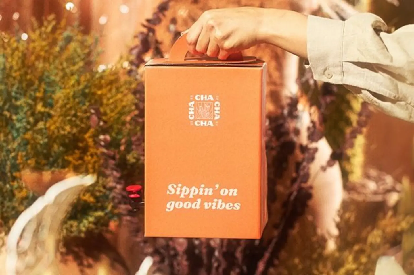 Cha Coffee Of The Day Box