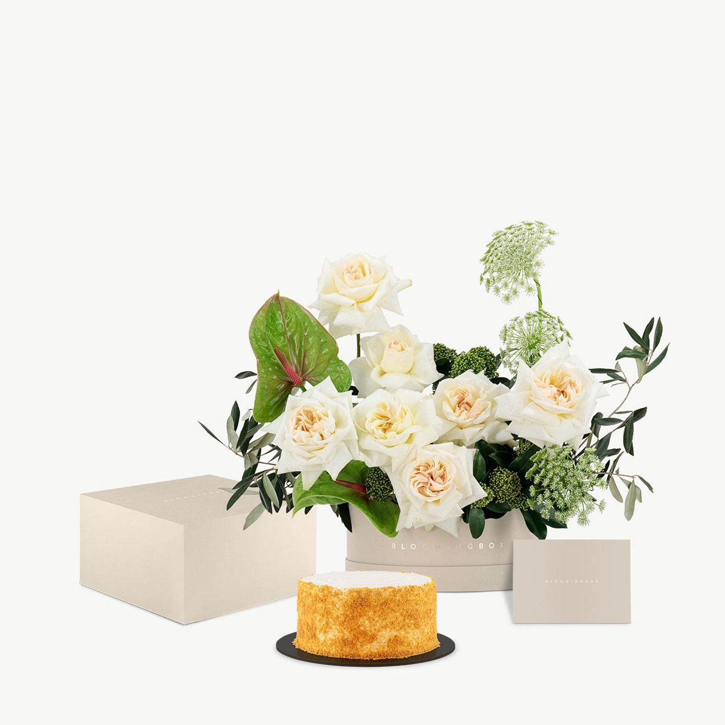 تشكيلة المساء القصيرة مع الكيك