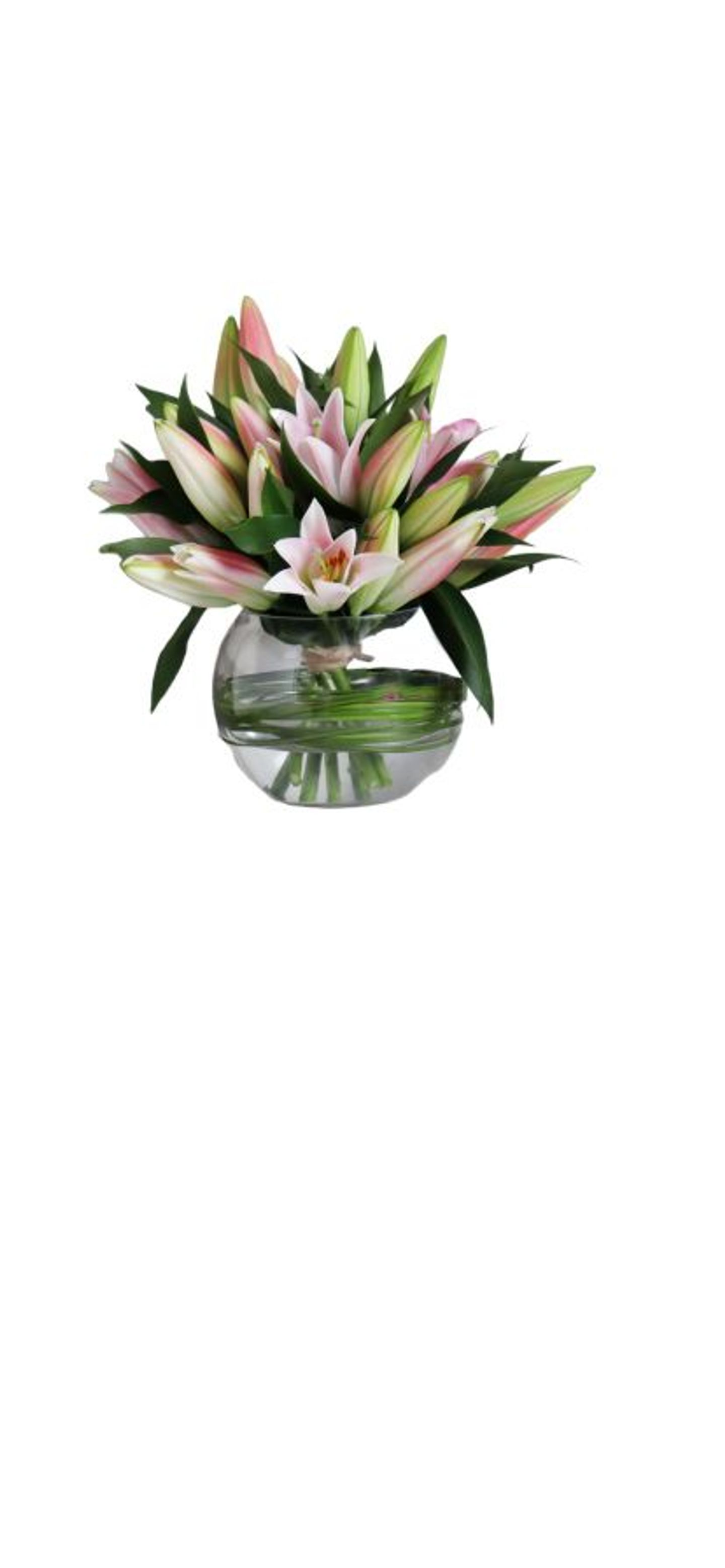 Lily Vase