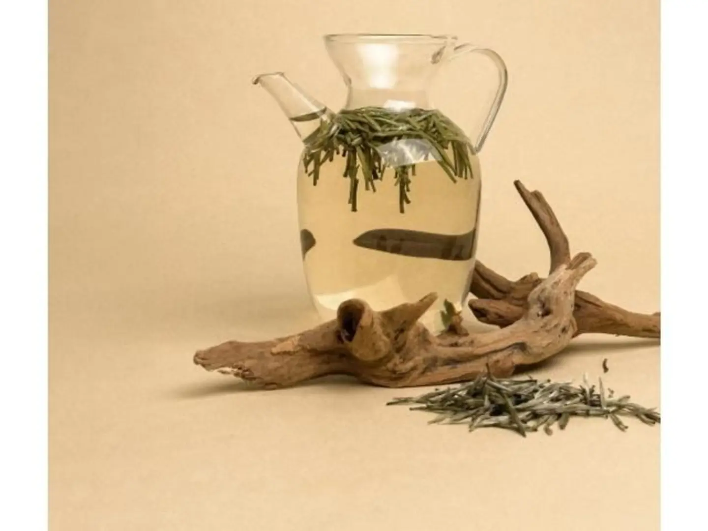 شاي تشو يي تشينغ الفاخر