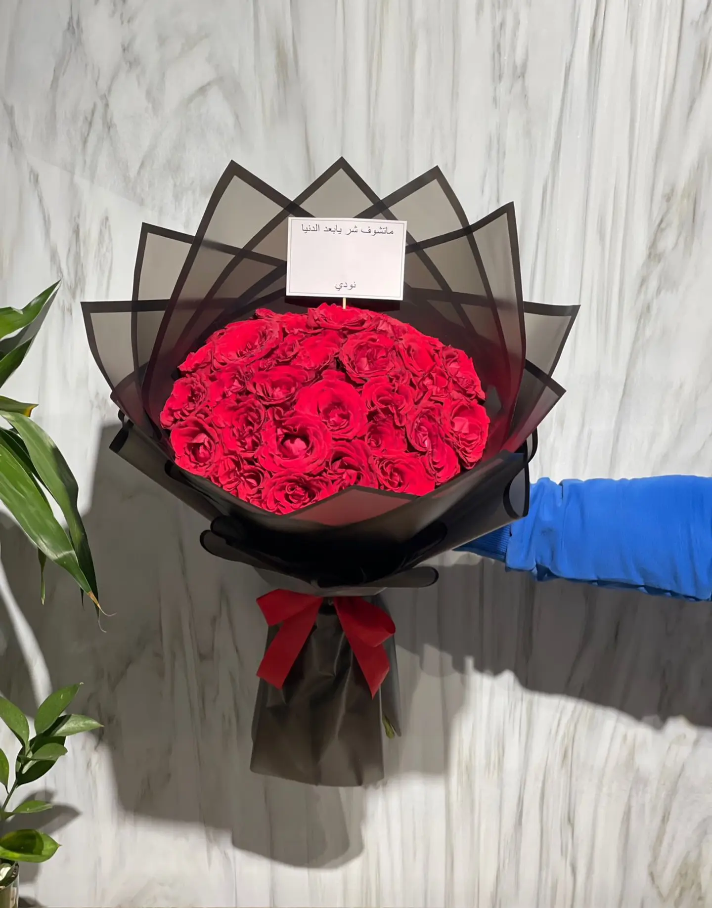 باقة الامل