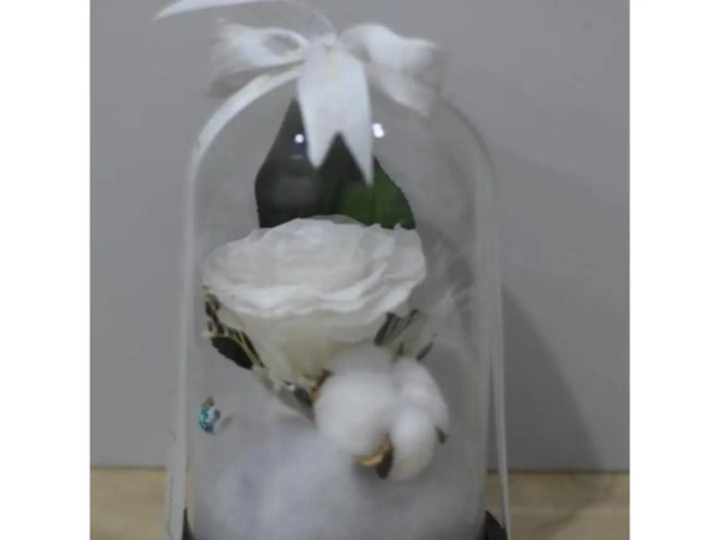 Large White Perennial Rose