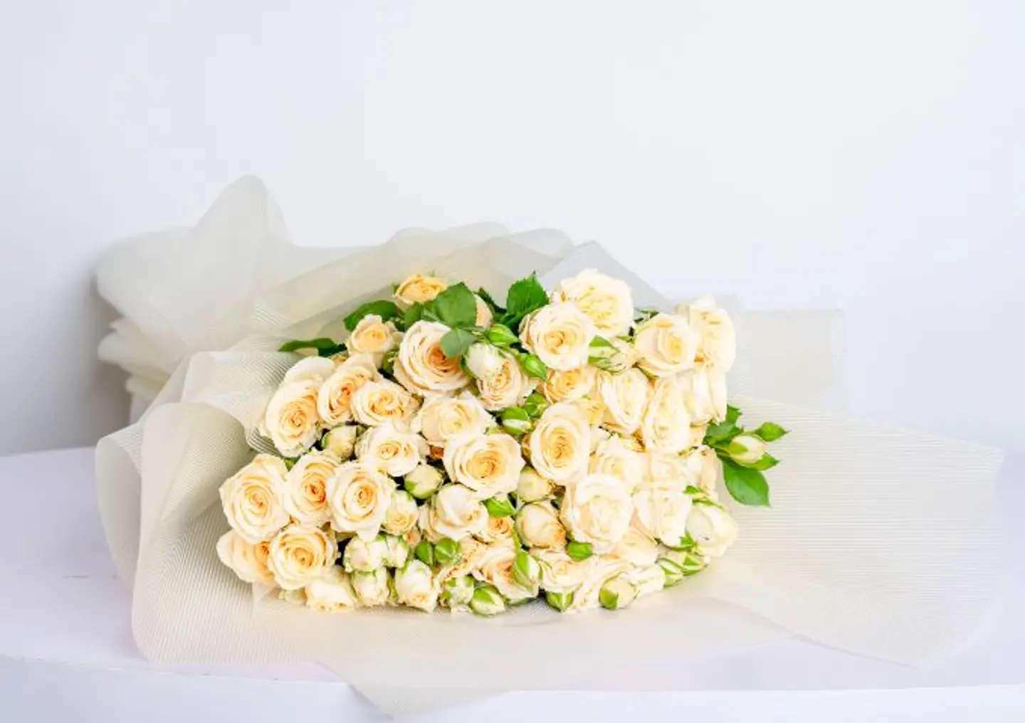 Sugar Rose