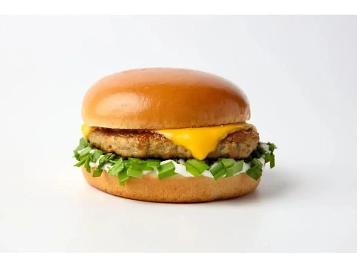 Chicken Burger