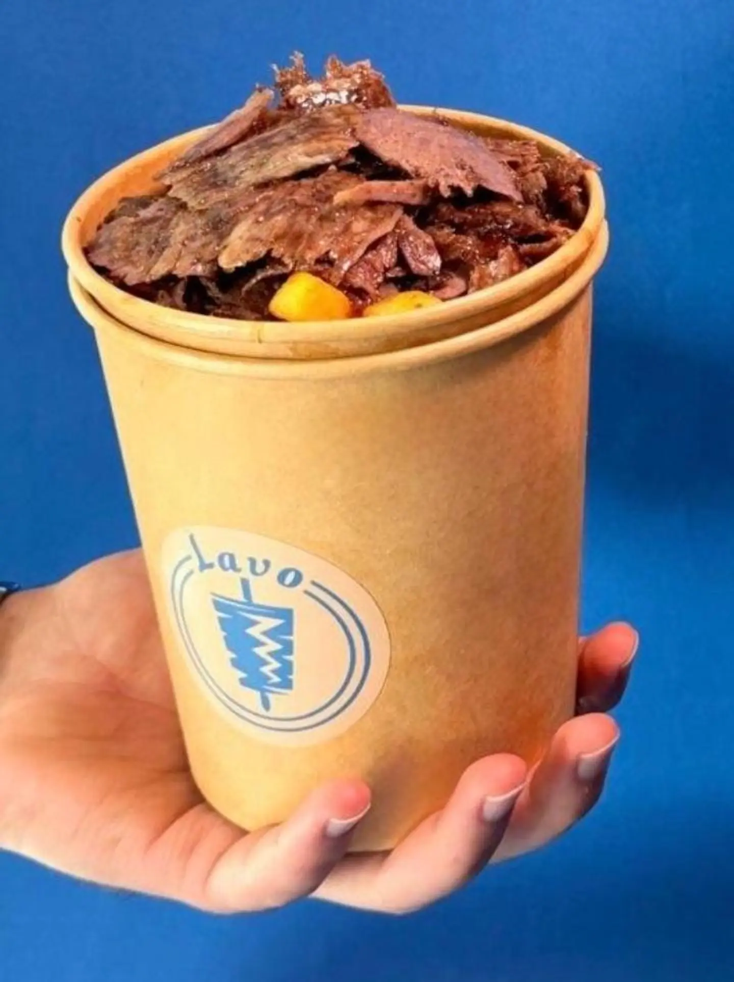 Lavo Wagyu Fries