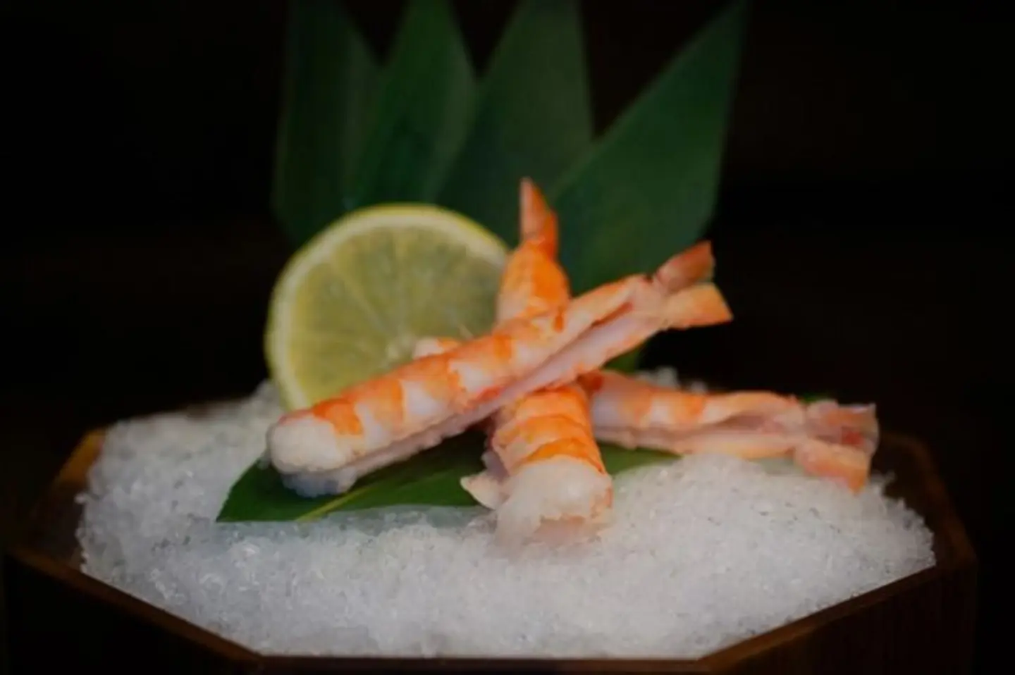 ايبي ساشيمي