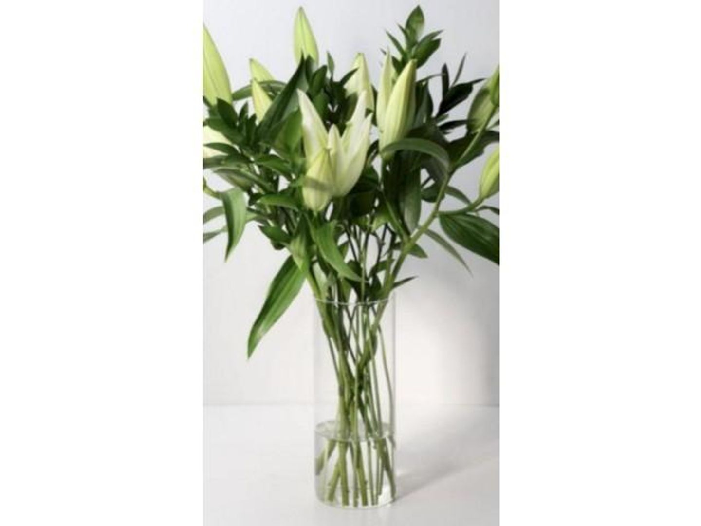 Lily Vase