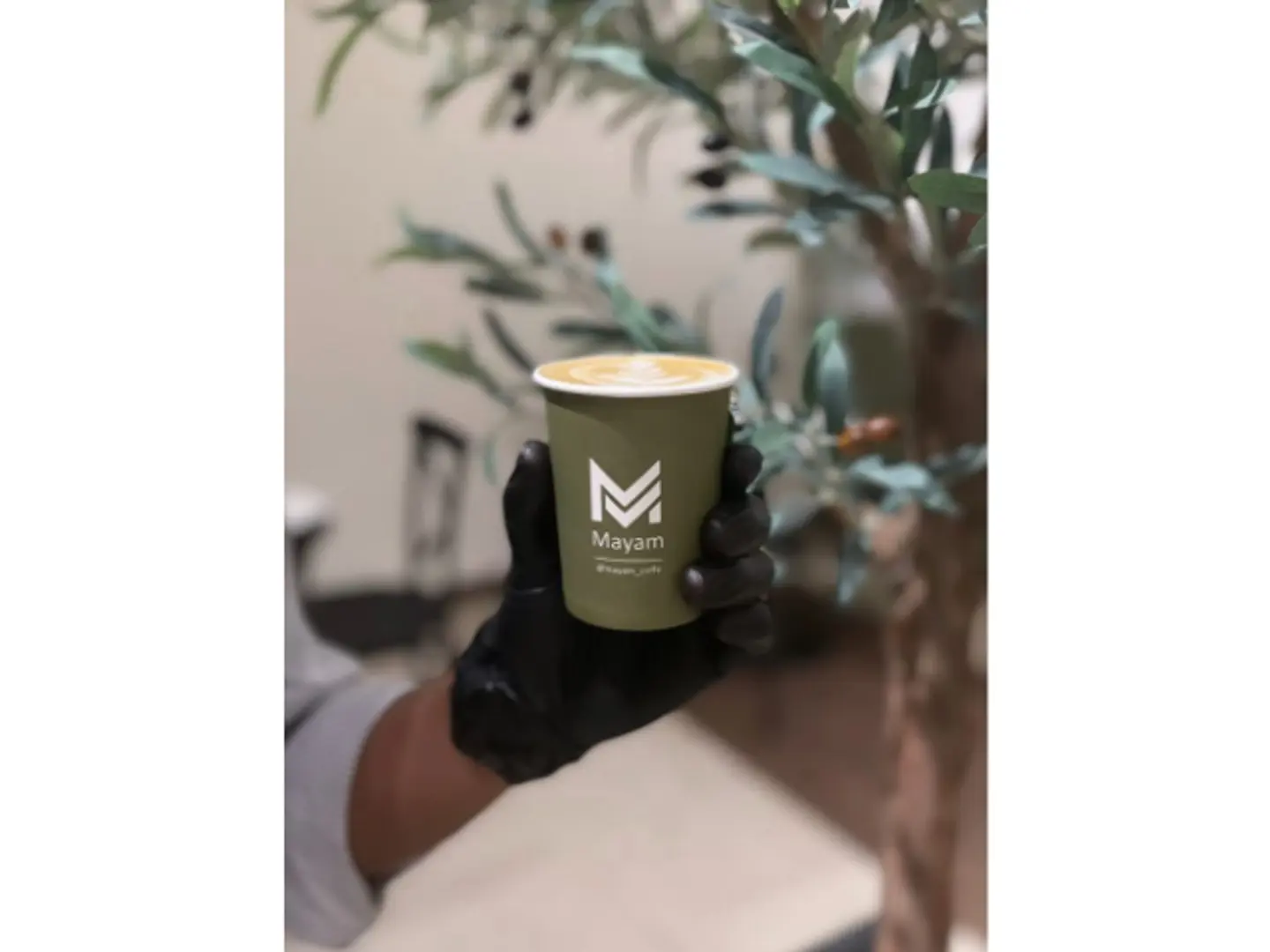 فلات وايت