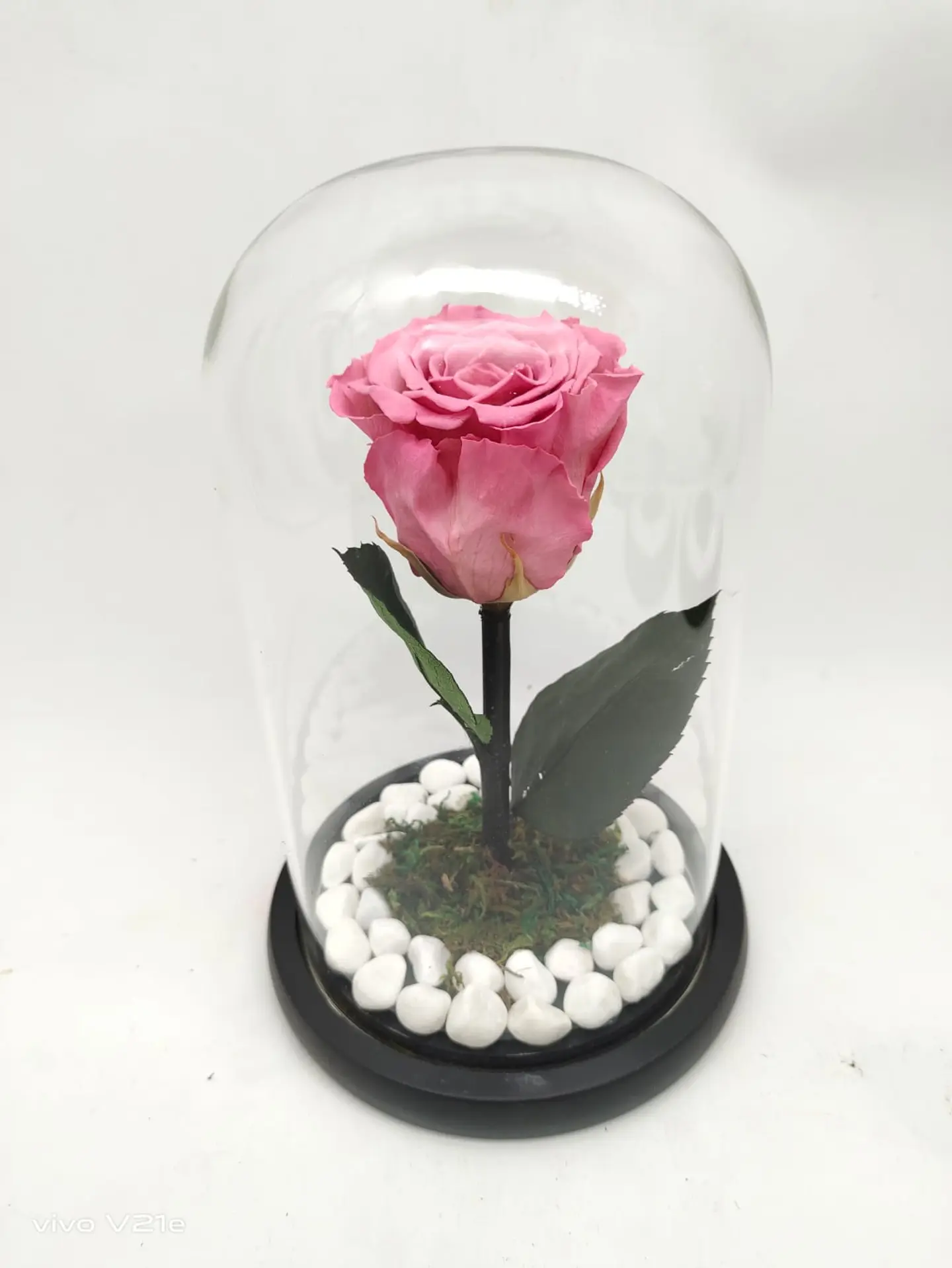 Permanent Natural Roses, Pink 0242