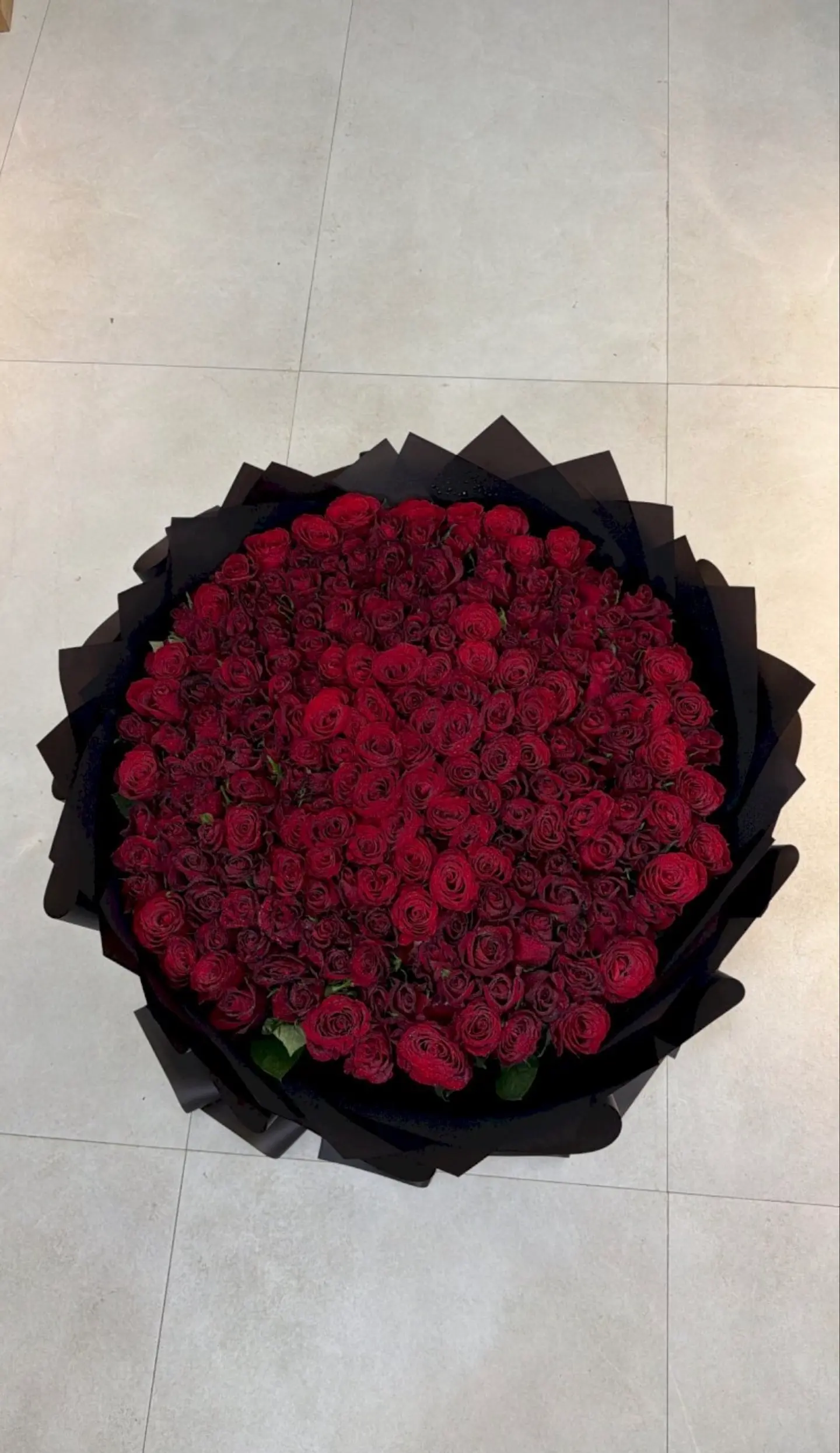 فخامة الأحمر 2