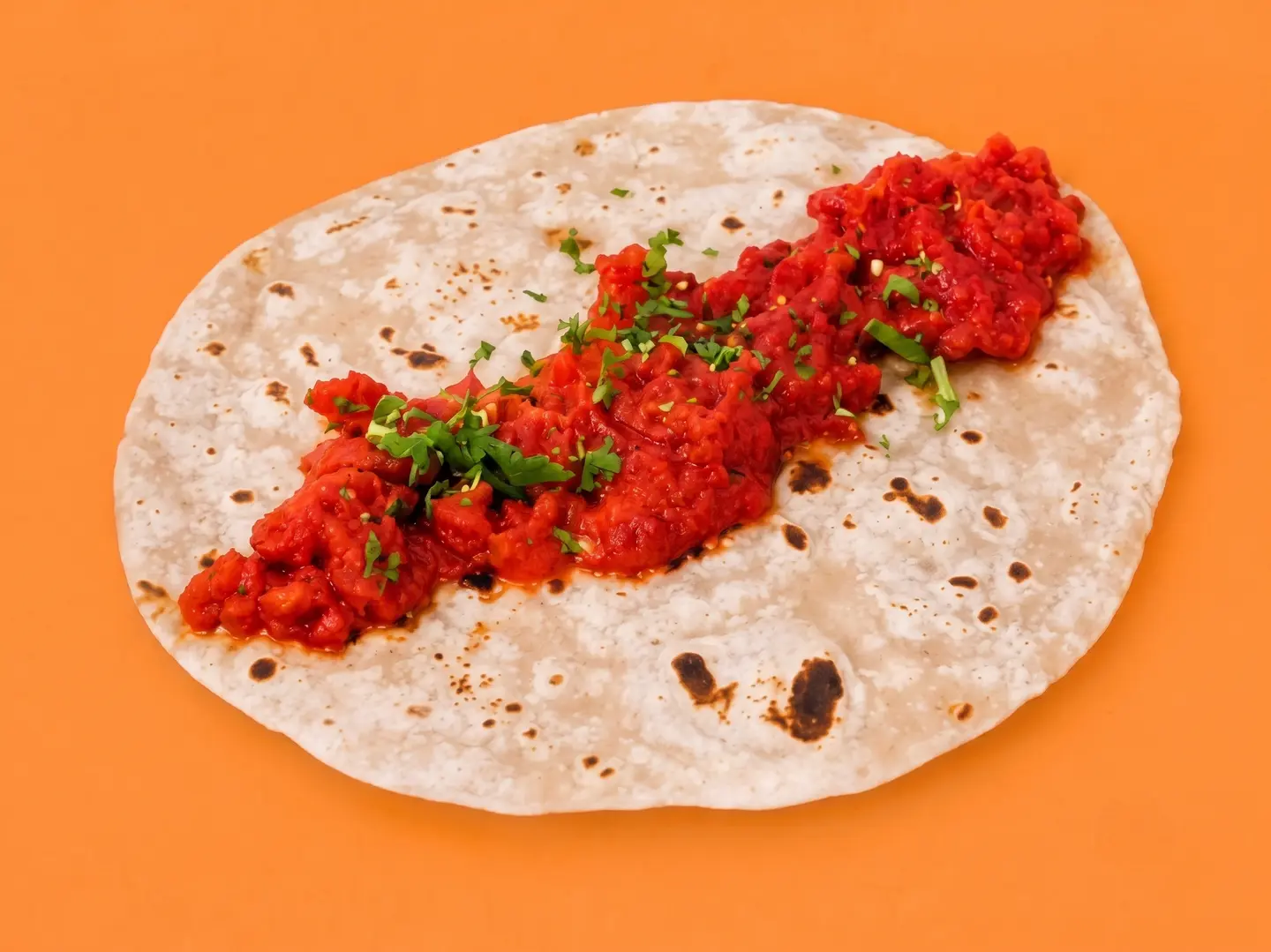 Chicken Tikka Sandwich