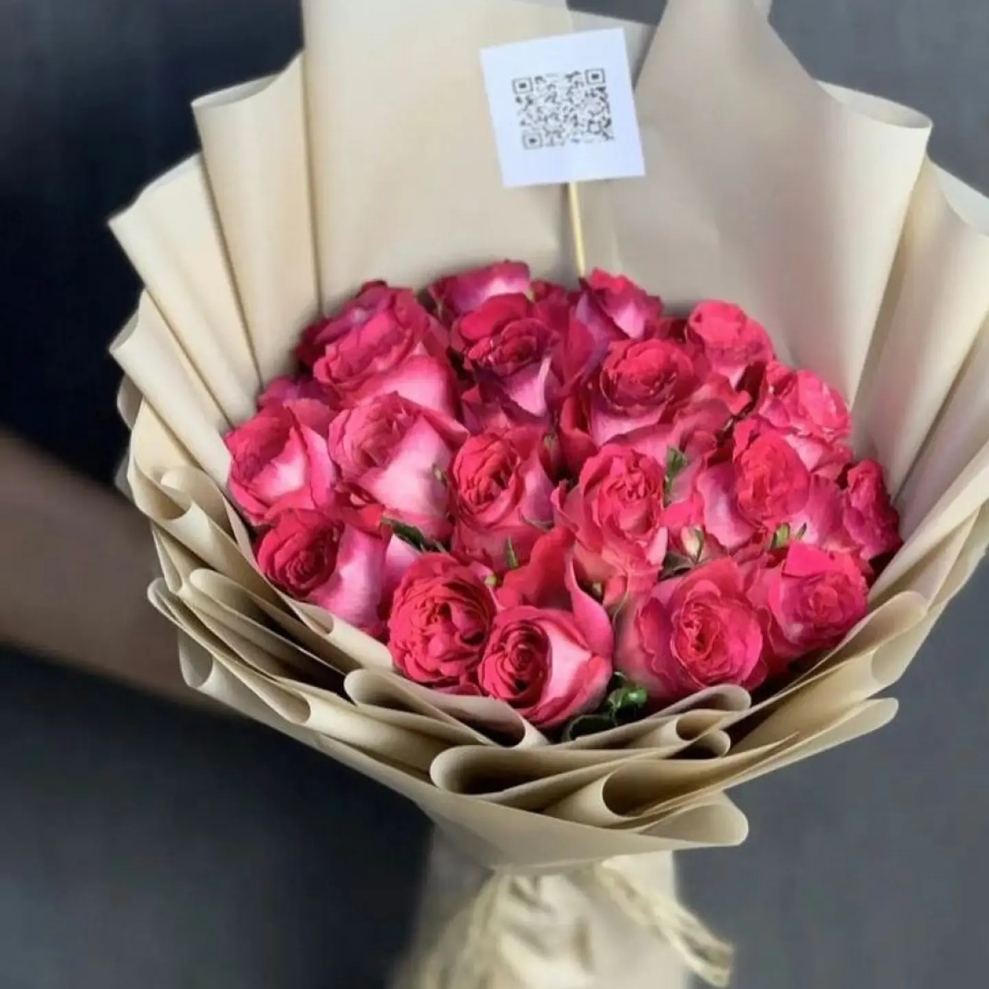 Beauty Of Pink Roses