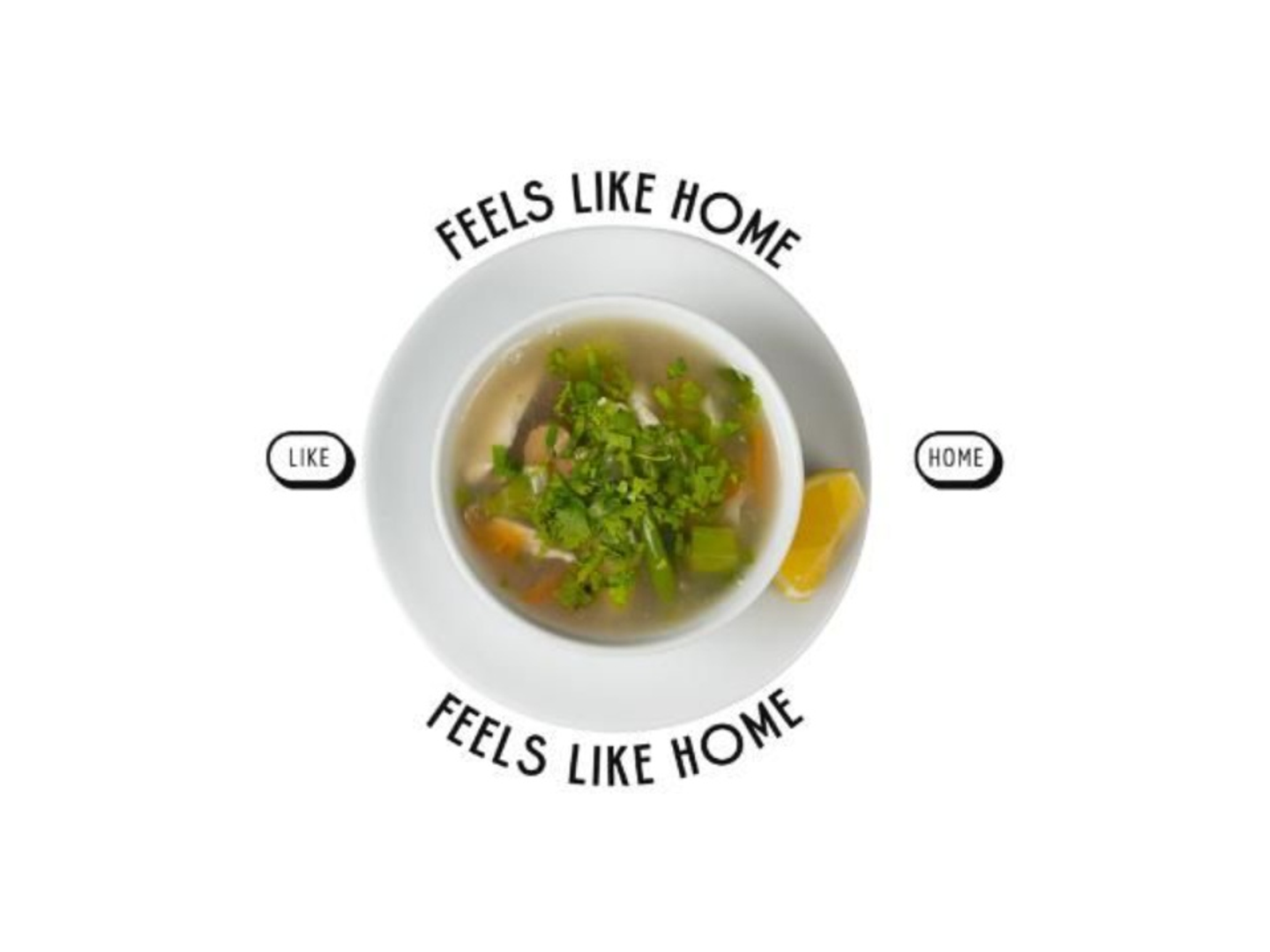 Chicken Vegetable Soup
