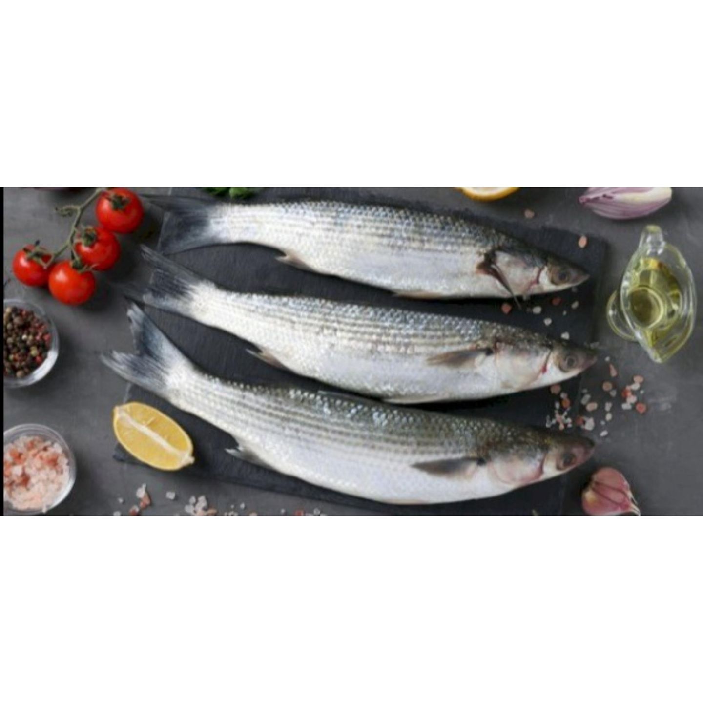 Mullet Fish