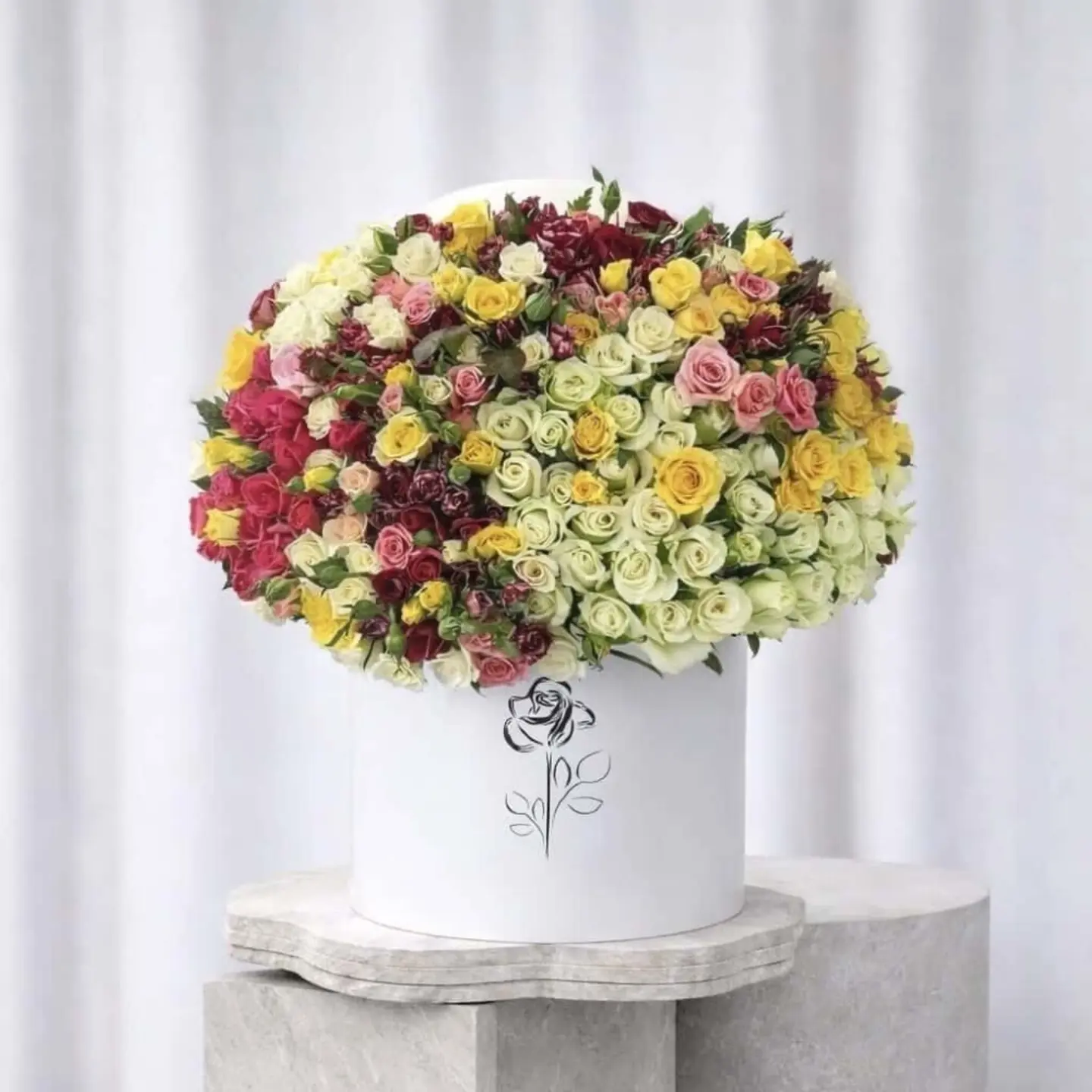 بوكس سويت روز