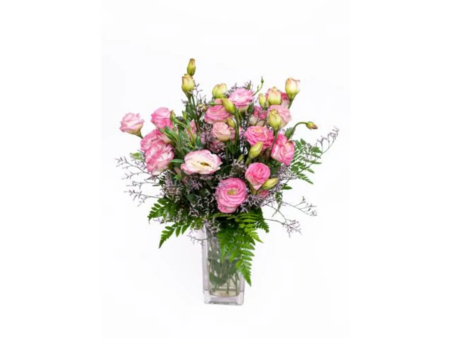 فازة الربيع