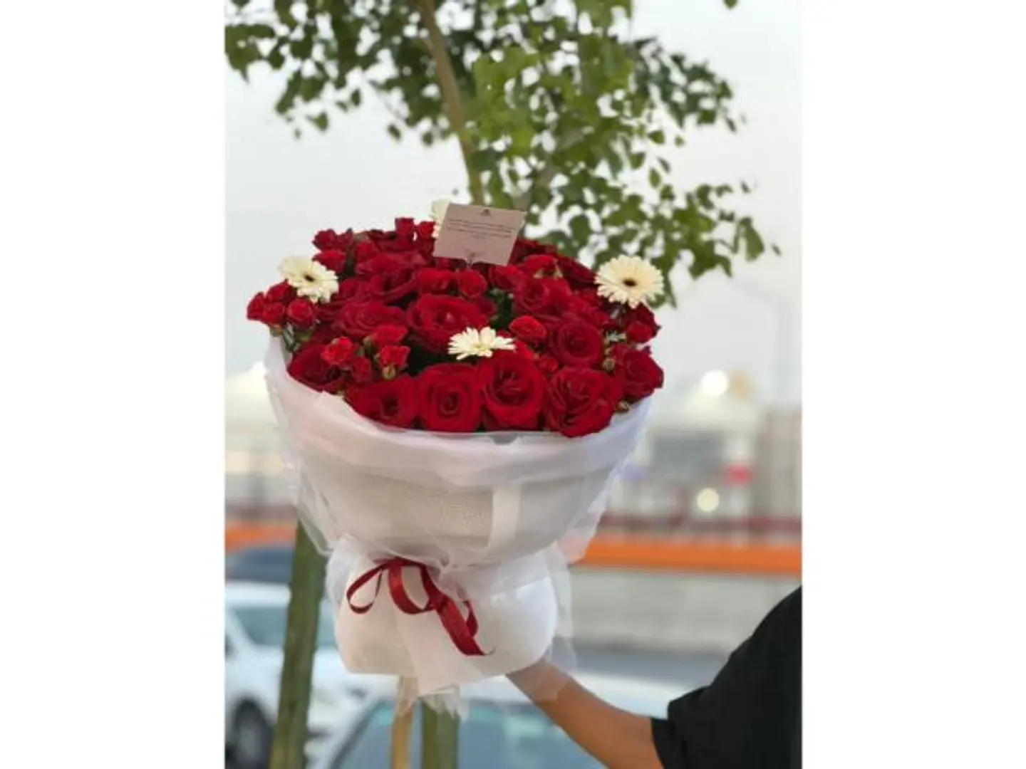 Red Rose Bouquet And Gilbera