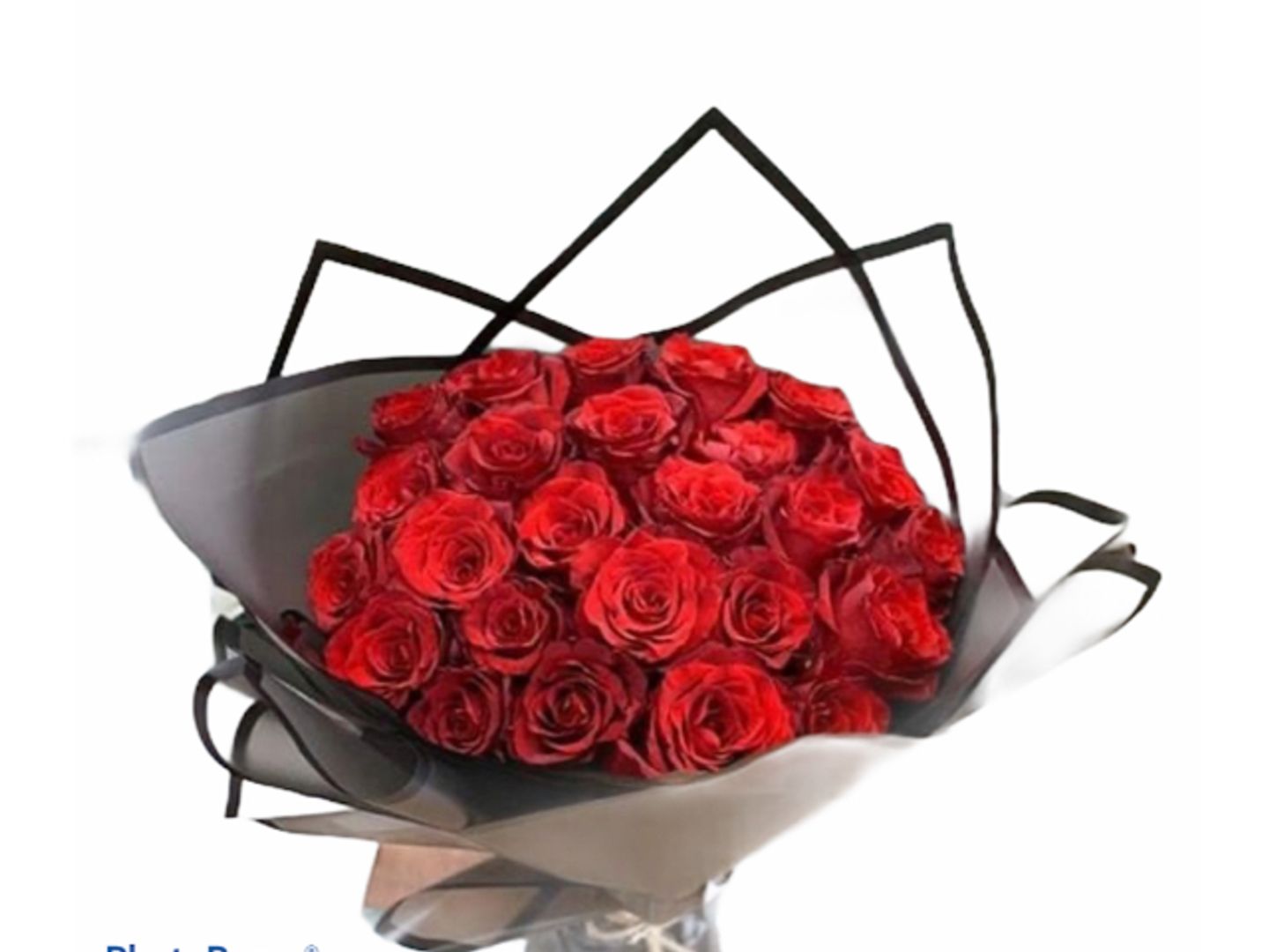 Red Rose