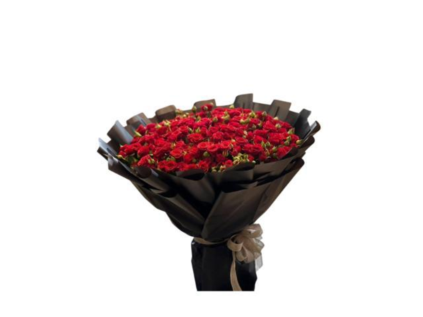 بوكيه بيبي روز الكيني