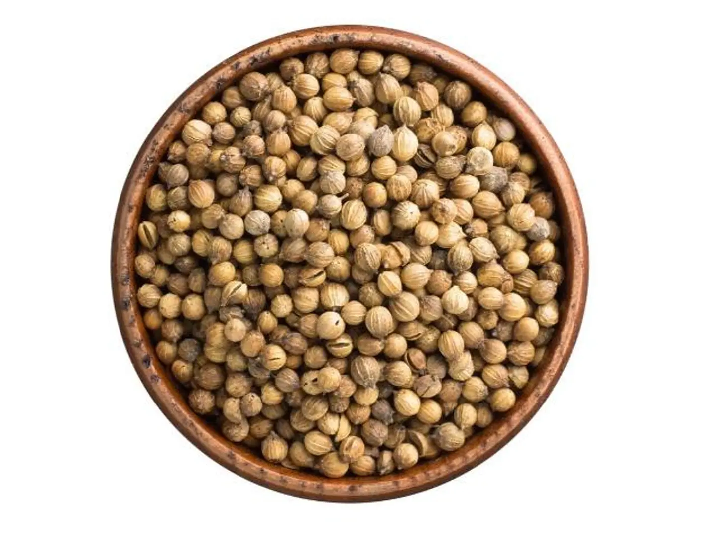 Coriander Seeds