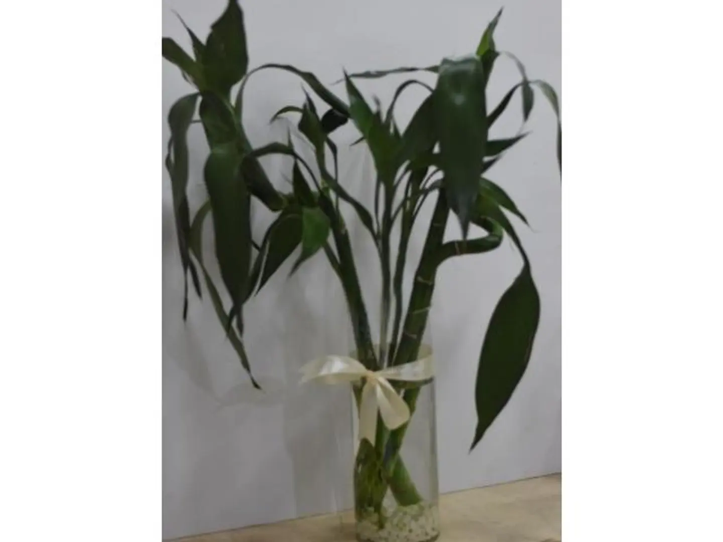 Bamboo Stalk With Arrangement 2