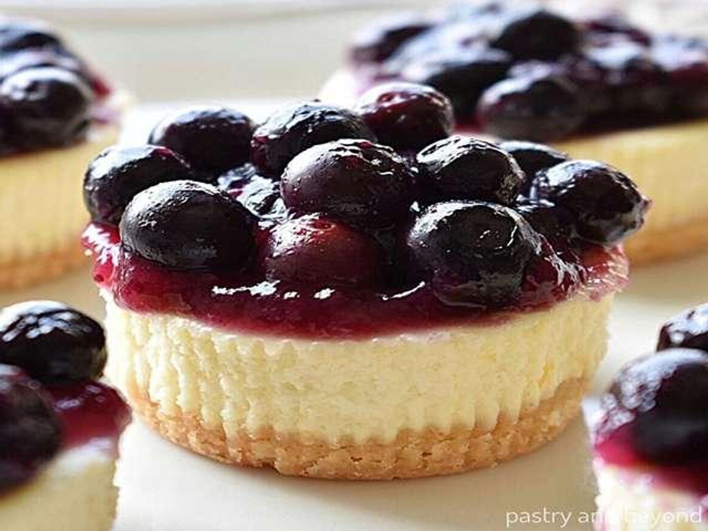 Cheesecake Cape Blueberry