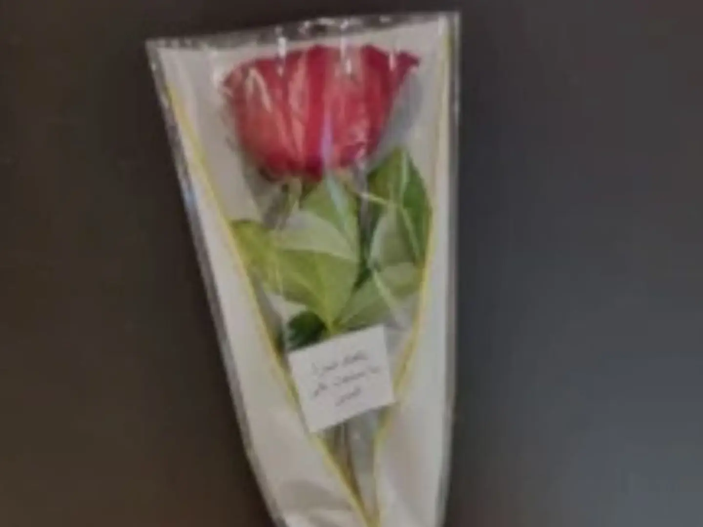 توزيعات ورد بالحبه