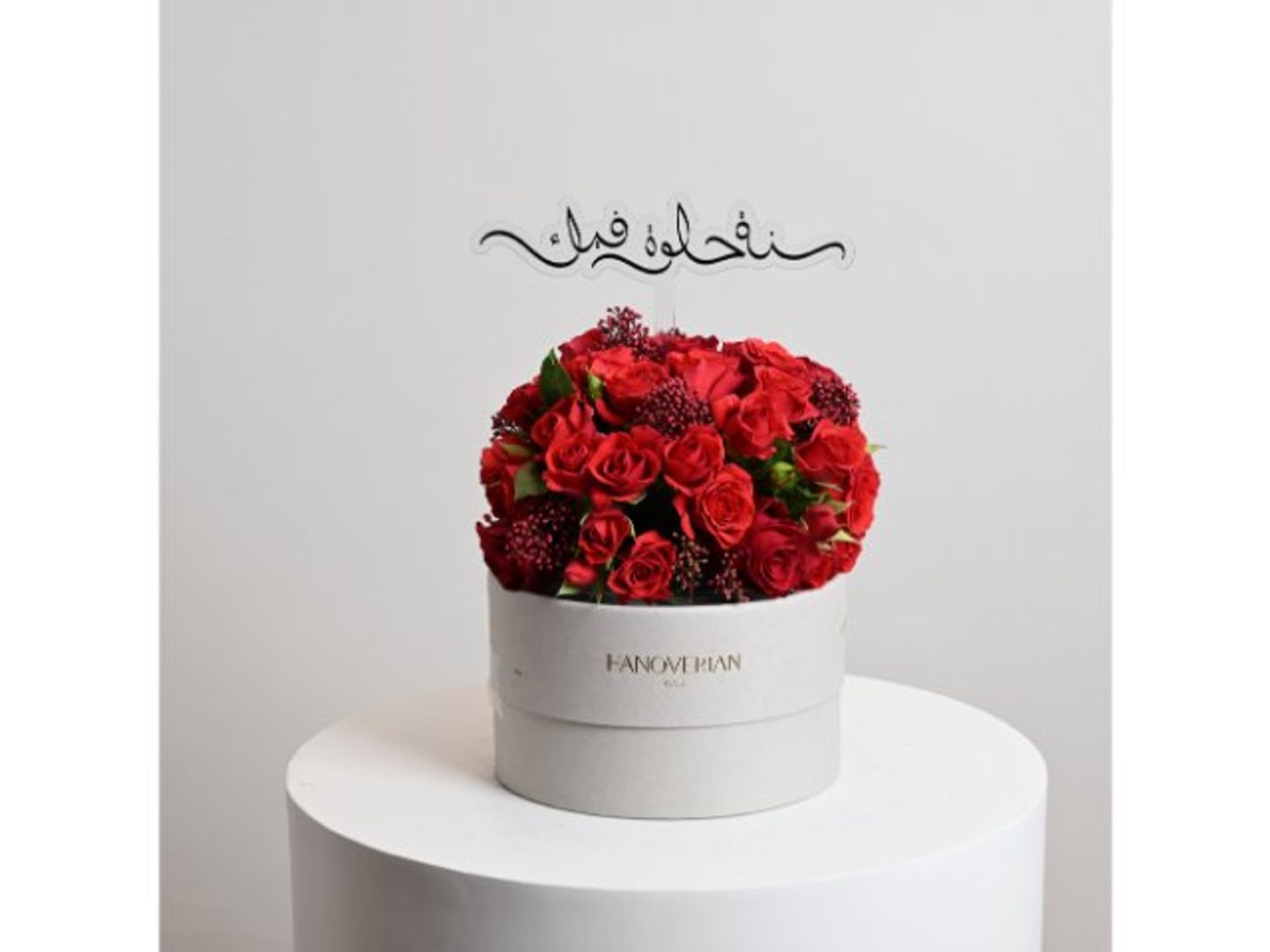بريتي