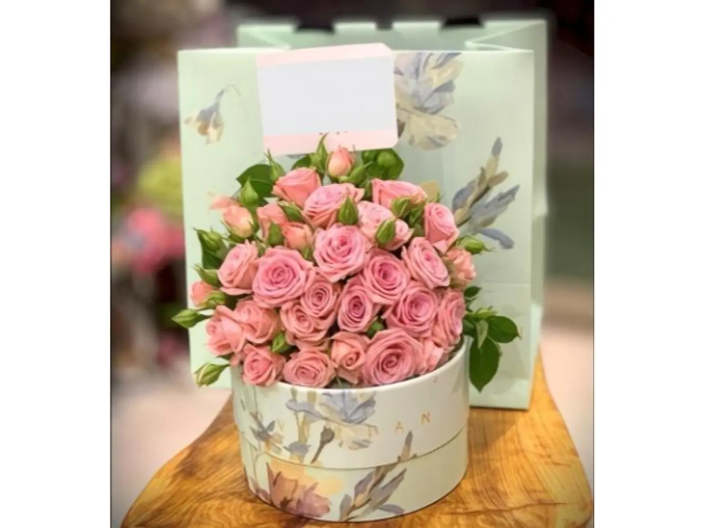 Hanoverian Package 6