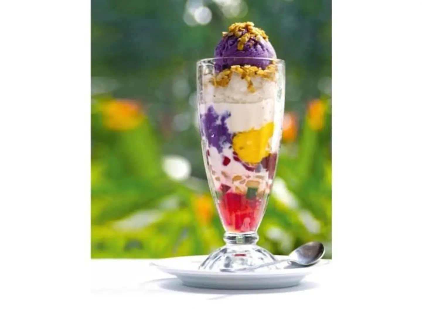 Halo Halo Special