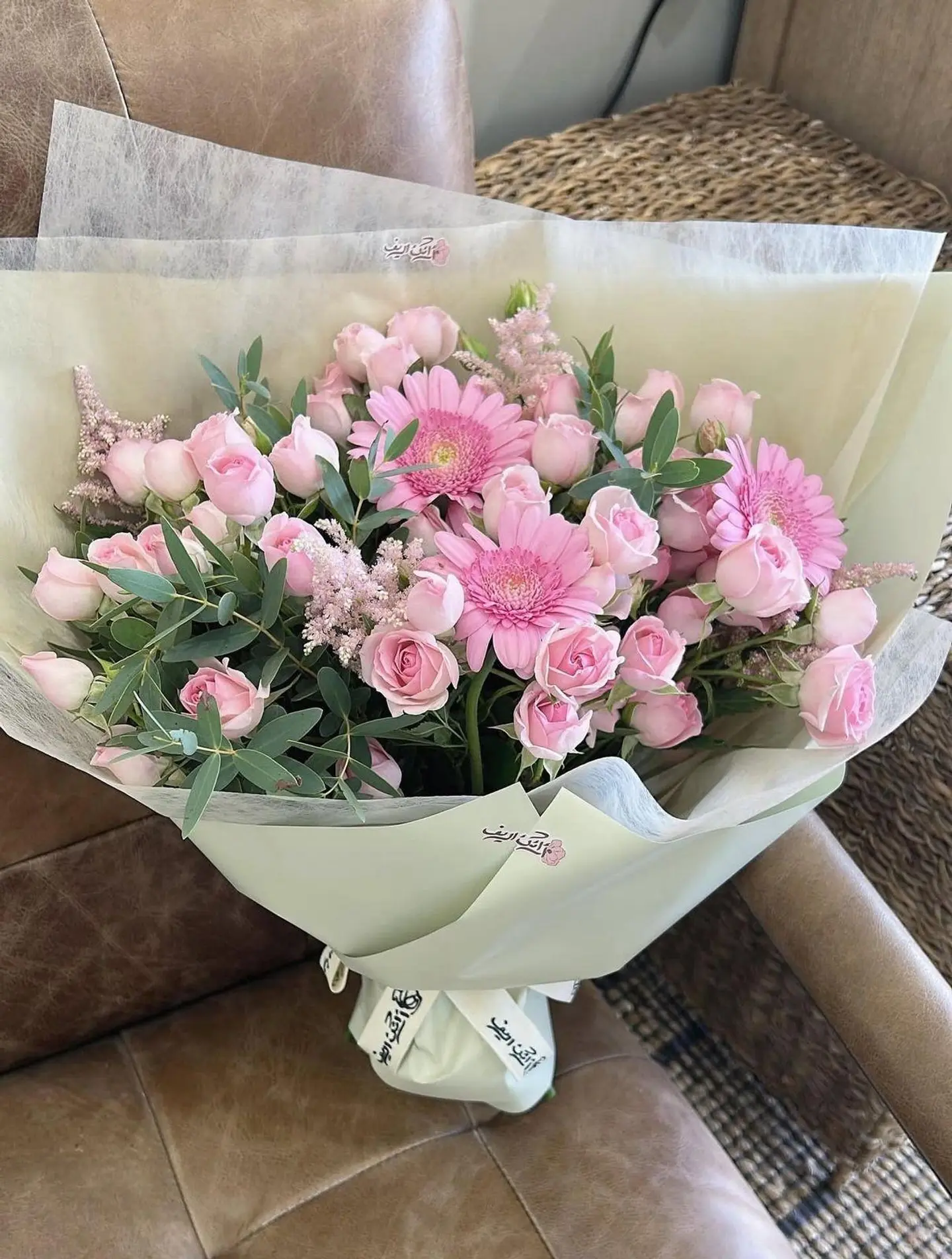 بوكية هولندي