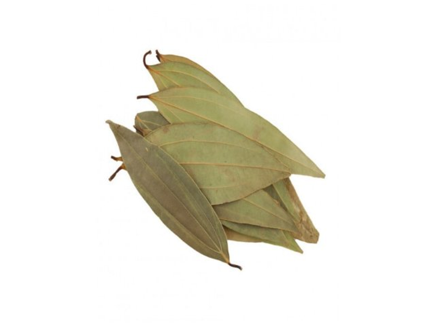ورق غار
